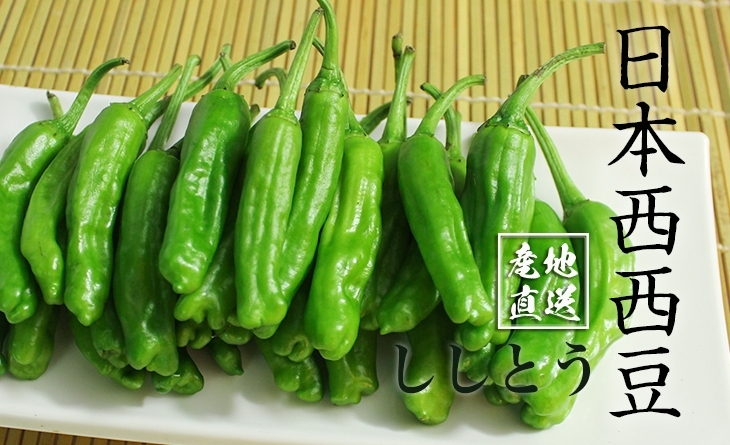 【台北濱江】串燒烤肉的最佳夥伴！╣日式蔬菜新上市╠ 日本西西豆