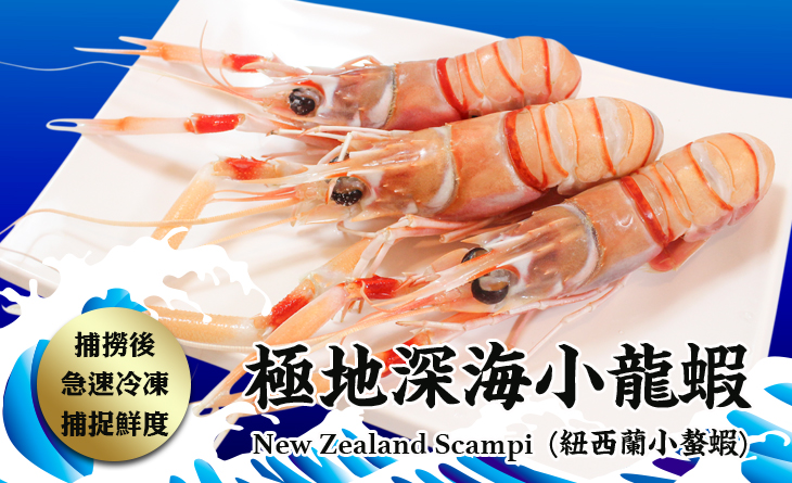 【台北濱江】生凍，紐西蘭原裝進口新鮮到府~極地深海小龍蝦（紐西蘭小螯蝦）