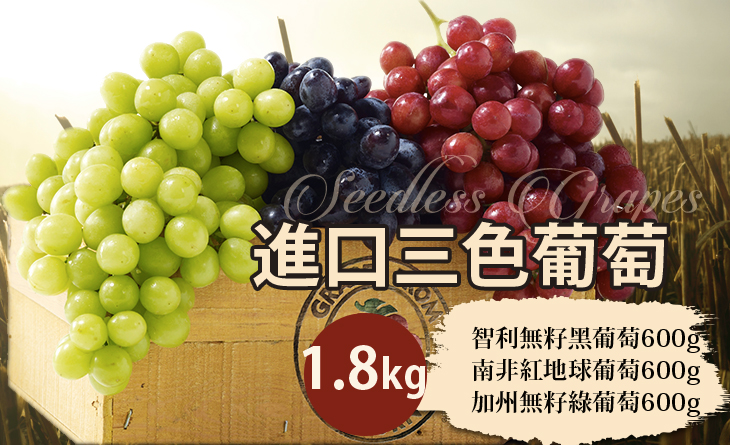 免運【台北濱江】「享受飽滿的果肉」進口三色葡萄1.8kg盒（紅黑綠三種葡萄各600g）