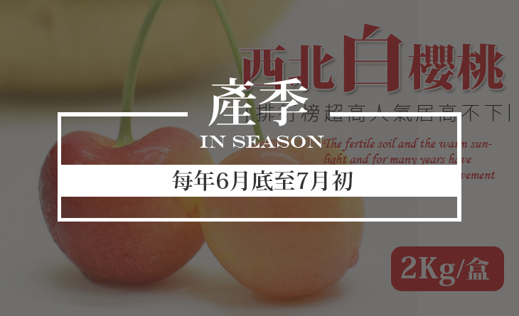 免運【台北濱江】產量只有紅櫻桃的5%!極其珍貴稀少~9.5ROW美國空運西北白櫻桃2kg/盒
