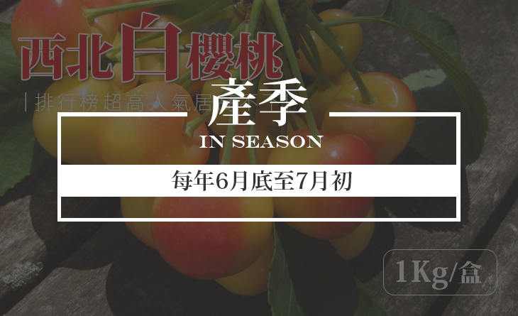 免運【台北濱江】產量只有紅櫻桃的5%!極其珍貴稀少~9.5ROW美國空運西北白櫻桃1kg/盒