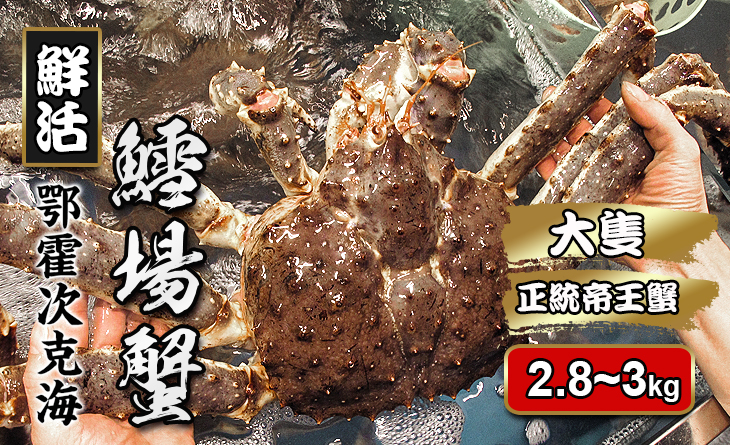 免運【台北濱江】鮮活鱈場蟹2.8-3kg/隻。日本經典名蟹必吃