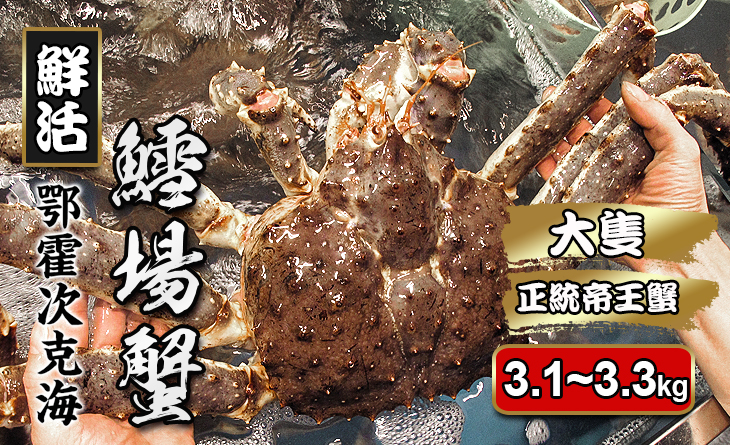 免運【台北濱江】鮮活鱈場蟹3.1~3.3kg/隻。一年一次秋冬聖品