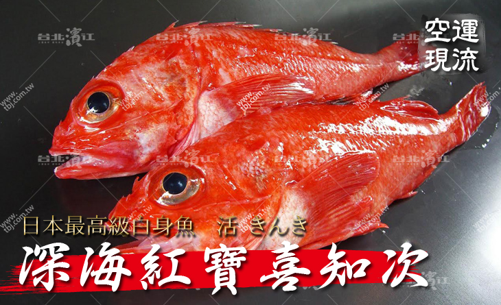 【台北濱江】烤魚界最頂級食材～衝擊味蕾的夢幻之魚！空運現流深海紅寶喜知次400g/尾