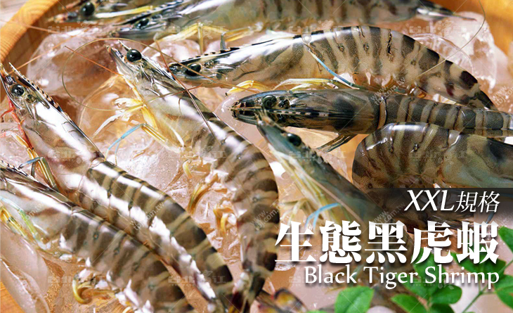 【台北濱江】潮味黑金饕客限定。前所未有的野放鮮甜Q彈-XXL生態黑虎蝦15隻