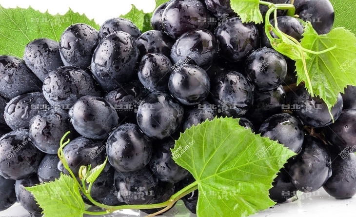 【台北濱江】聞名全台！台北 濱江 魚 市場碩大甜美的信義鄉巨峰葡萄600g裝